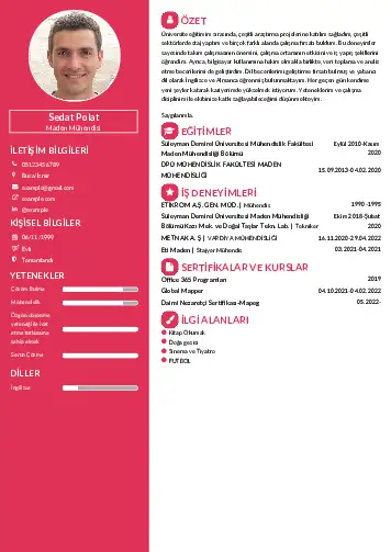 Maden Mühendisi Cv Örnekleri cv indir